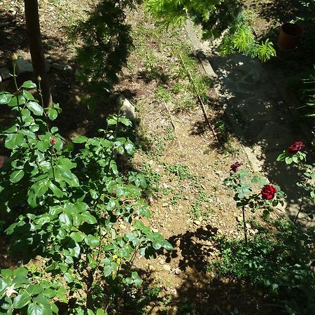 La Villa Nei Fiori 佛罗伦萨 外观 照片