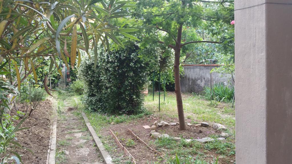 La Villa Nei Fiori 佛罗伦萨 外观 照片