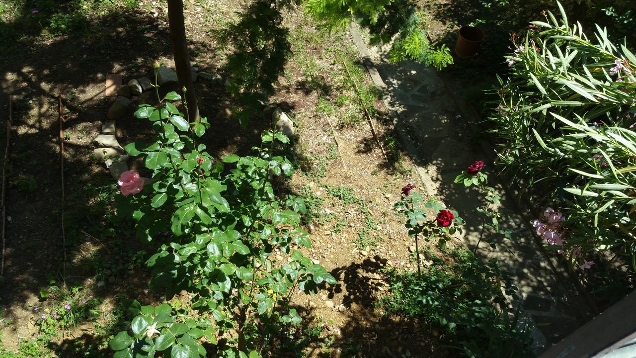 La Villa Nei Fiori 佛罗伦萨 外观 照片