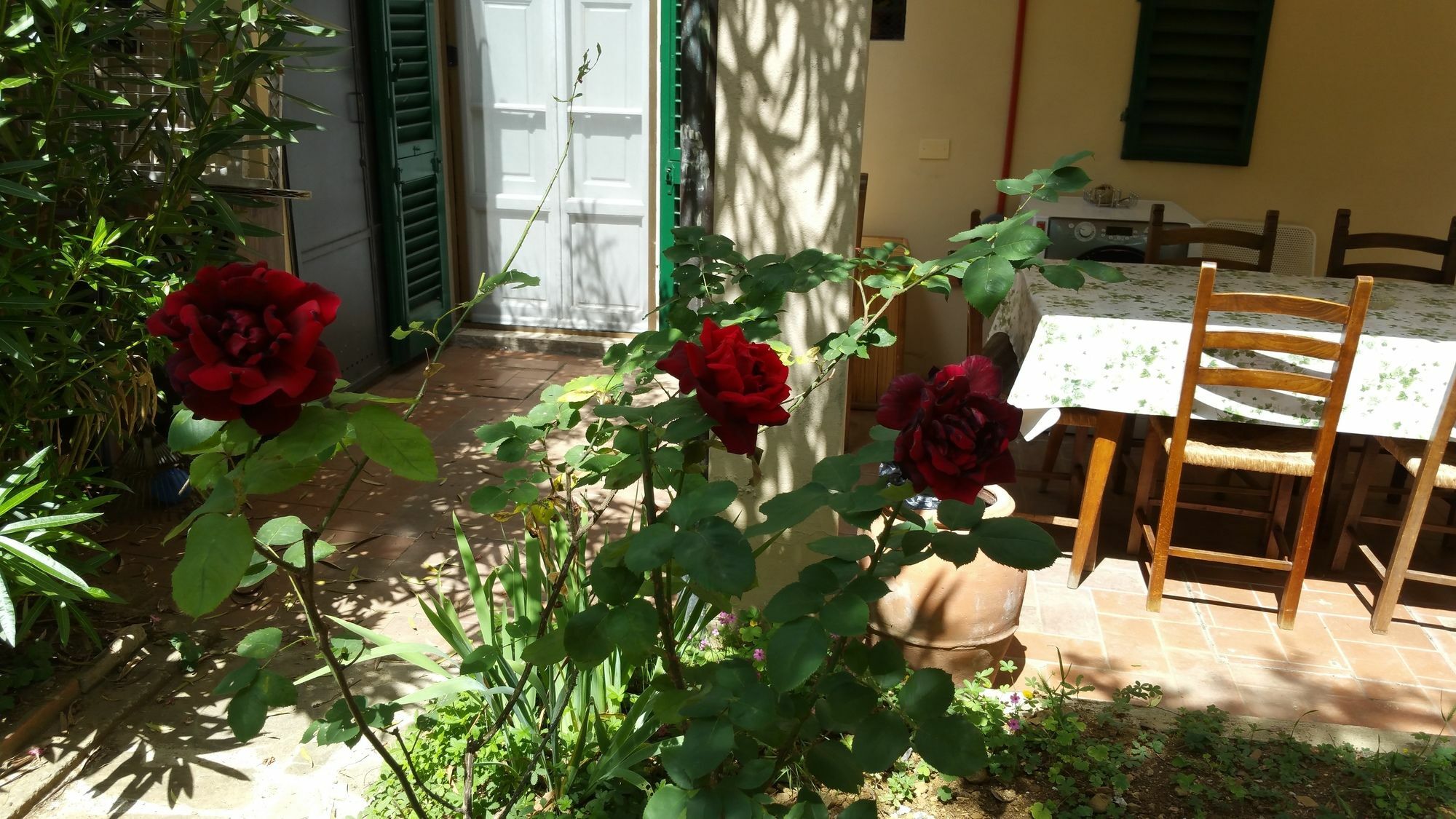 La Villa Nei Fiori 佛罗伦萨 外观 照片